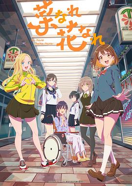 莞城seo关键词优化多少钱